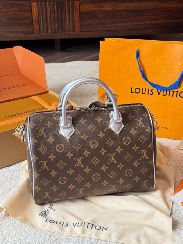 Stylish Fashion Carry Bag L5314