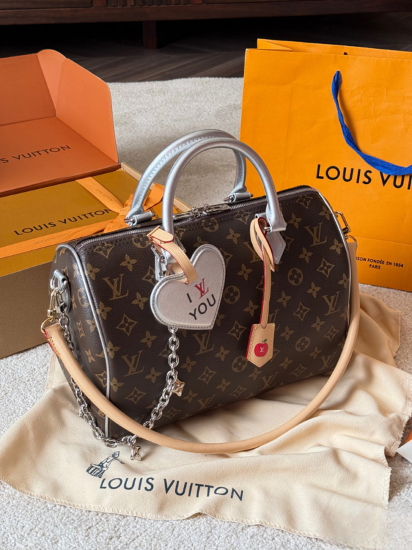 Stylish Fashion Carry Bag L5314