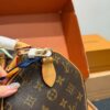 Stylish Fashion Carry Bag L5315