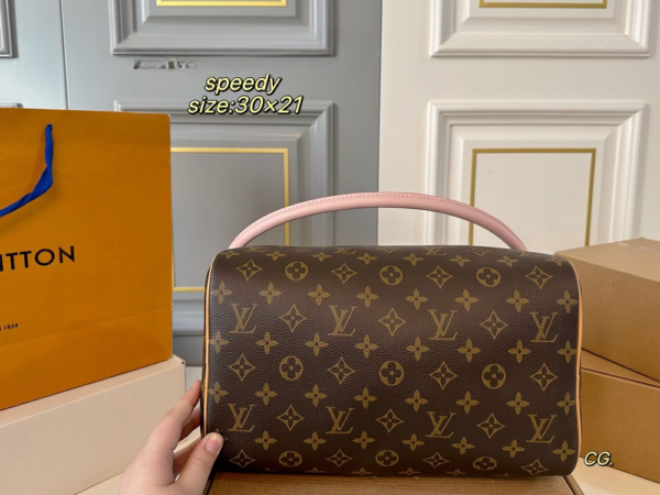 Stylish Fashion Carry Bag L5329 Stylish Fashion Carry Bag L5329