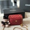 Stylish Fashion Carry Bag C4080
