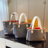 Stylish Fashion Carry Bag L5342