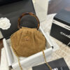 Stylish Fashion Carry Bag C4085