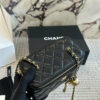 Stylish Fashion Carry Bag C4086