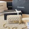 Stylish Fashion Carry Bag C4087
