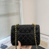Stylish Fashion Carry Bag C4094