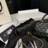Stylish Fashion Carry Bag C4091
