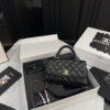 Stylish Fashion Carry Bag C4091