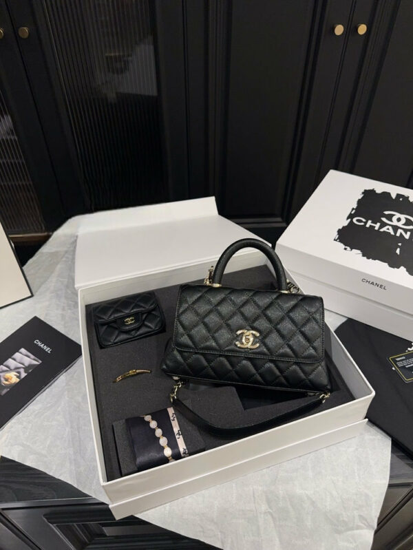 Stylish Fashion Carry Bag C4091