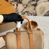 Stylish Fashion Carry Bag L5343 Stylish Fashion Carry Bag L5343