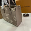 Stylish Fashion Carry Bag L5344