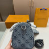 Stylish Fashion Carry Bag L5348