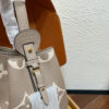 Stylish Fashion Carry Bag L5350
