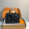 Stylish Fashion Carry Bag L5356