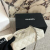 Stylish Fashion Carry Bag C4095