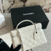 Stylish Fashion Carry Bag C4095
