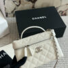 Stylish Fashion Carry Bag C4095