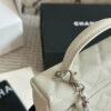 Stylish Fashion Carry Bag C4095