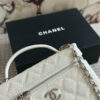 Stylish Fashion Carry Bag C4095