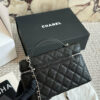 Stylish Fashion Carry Bag C4095