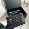 Stylish Fashion Carry Bag C4096