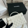 Stylish Fashion Carry Bag C4096