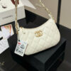 Stylish Fashion Carry Bag C4098
