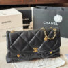 Stylish Fashion Carry Bag C4100