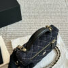 Stylish Fashion Carry Bag C4101