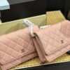 Stylish Fashion Carry Bag C3825-1