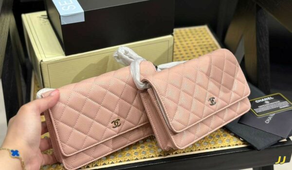 Stylish Fashion Carry Bag C3825-1