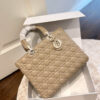 New Collection Fashion Bag D3546