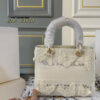 New Collection Fashion Bag D3550