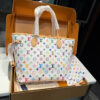Stylish Fashion Carry Bag L5364