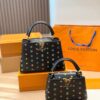 Stylish Fashion Carry LV Handbag LV2631118