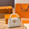Stylish Fashion Carry LV Handbag LV2631118