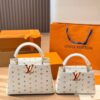 Stylish Fashion Carry LV Handbag LV2631118