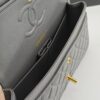 CN Classic Handbag Grey Gold Hardware For Women A01112
