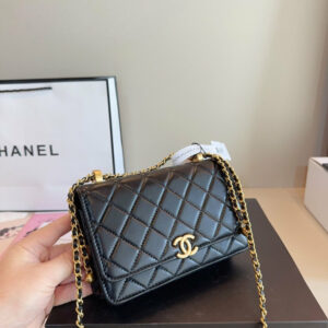 Fashion CN 23S Double Gold Ball Wallet On Chain 910313 3 cmp i1757061835303 6216 0 7 result