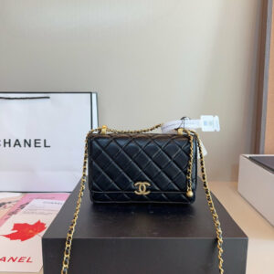 Fashion CN 23S Double Gold Ball Wallet On Chain 910313 4 cmp i1757061836152 9434 0 6 result