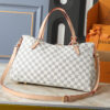 Chic Charm LV Handbag M40022