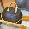 Stylish Fashion Carry LV Handbag LV265171
