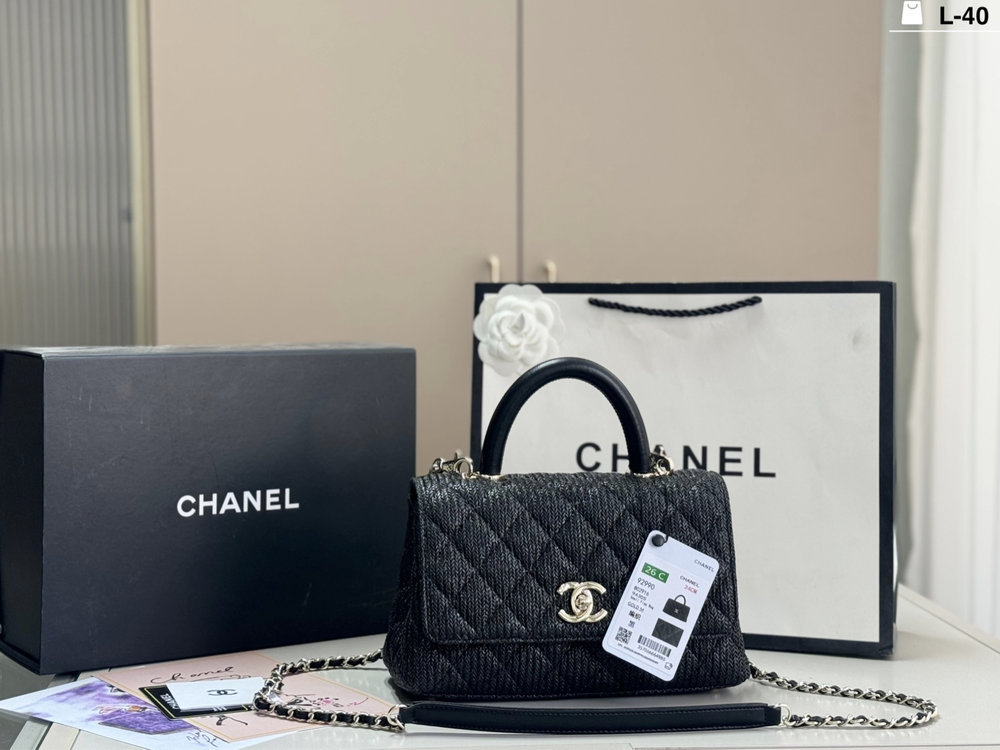 Stylish Fashion Carry Bag C4110 Stylish Fashion Carry Bag C4110