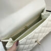 Stylish Fashion Carry Bag C4110 Stylish Fashion Carry Bag C4110