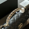 Stylish Fashion Carry Bag C4117