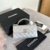 Stylish Fashion Carry Bag C4117