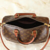 Chic Charm LV Handbag M29199 Chic Charm LV Handbag M29199