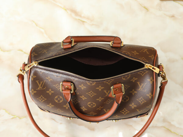 Chic Charm LV Handbag M29199 Chic Charm LV Handbag M29199