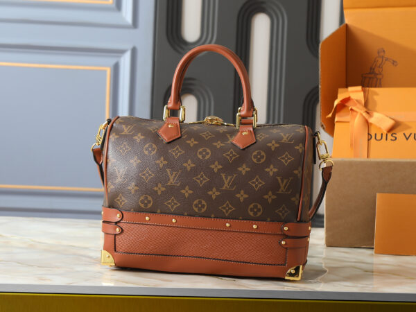 Chic Charm LV Handbag M29199 Chic Charm LV Handbag M29199