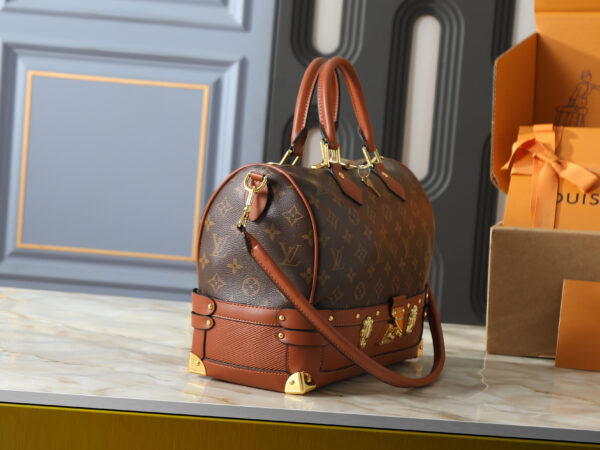 Chic Charm LV Handbag M29199 Chic Charm LV Handbag M29199